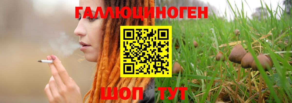 Галлюциногенные грибы GOLDEN TEACHER Ростов Великий